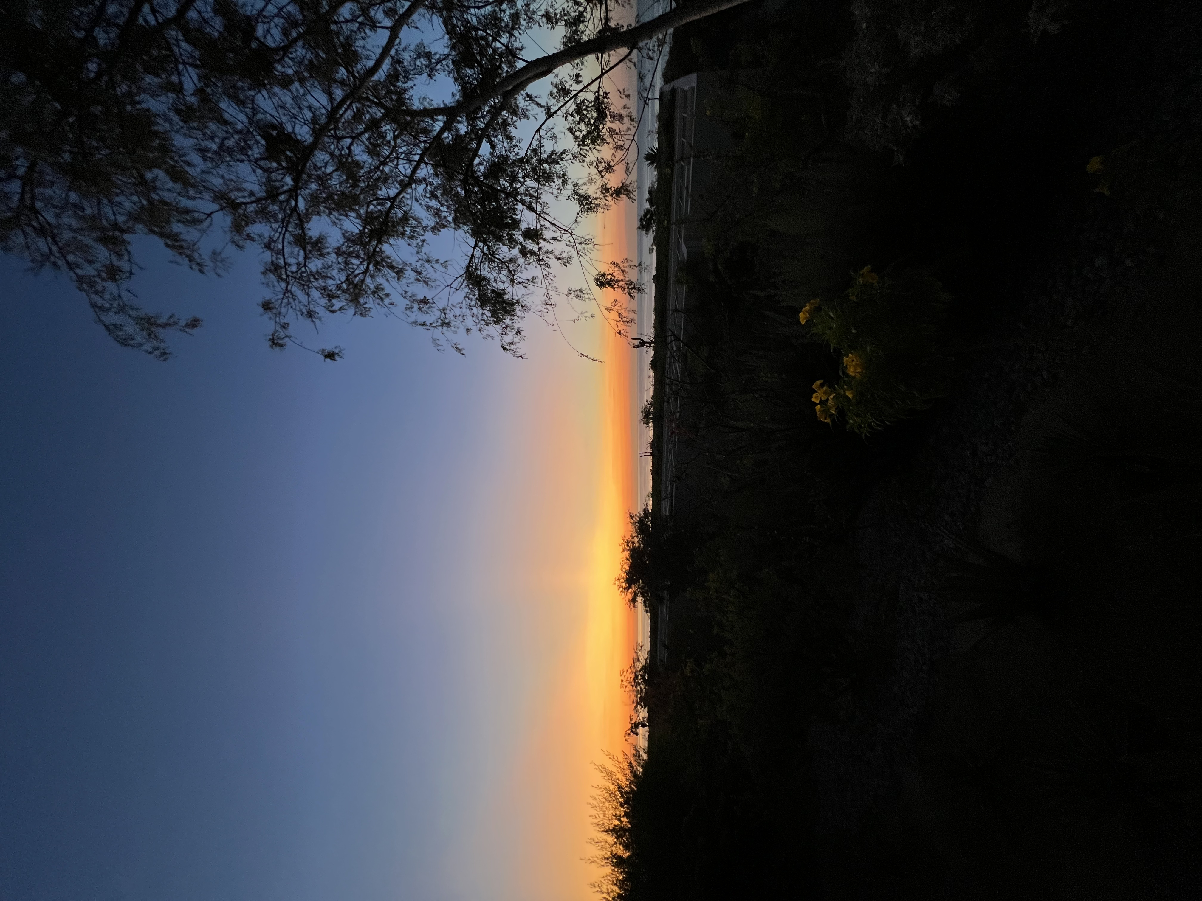 ./2024/13 - Cabo/IMG_4918.jpg